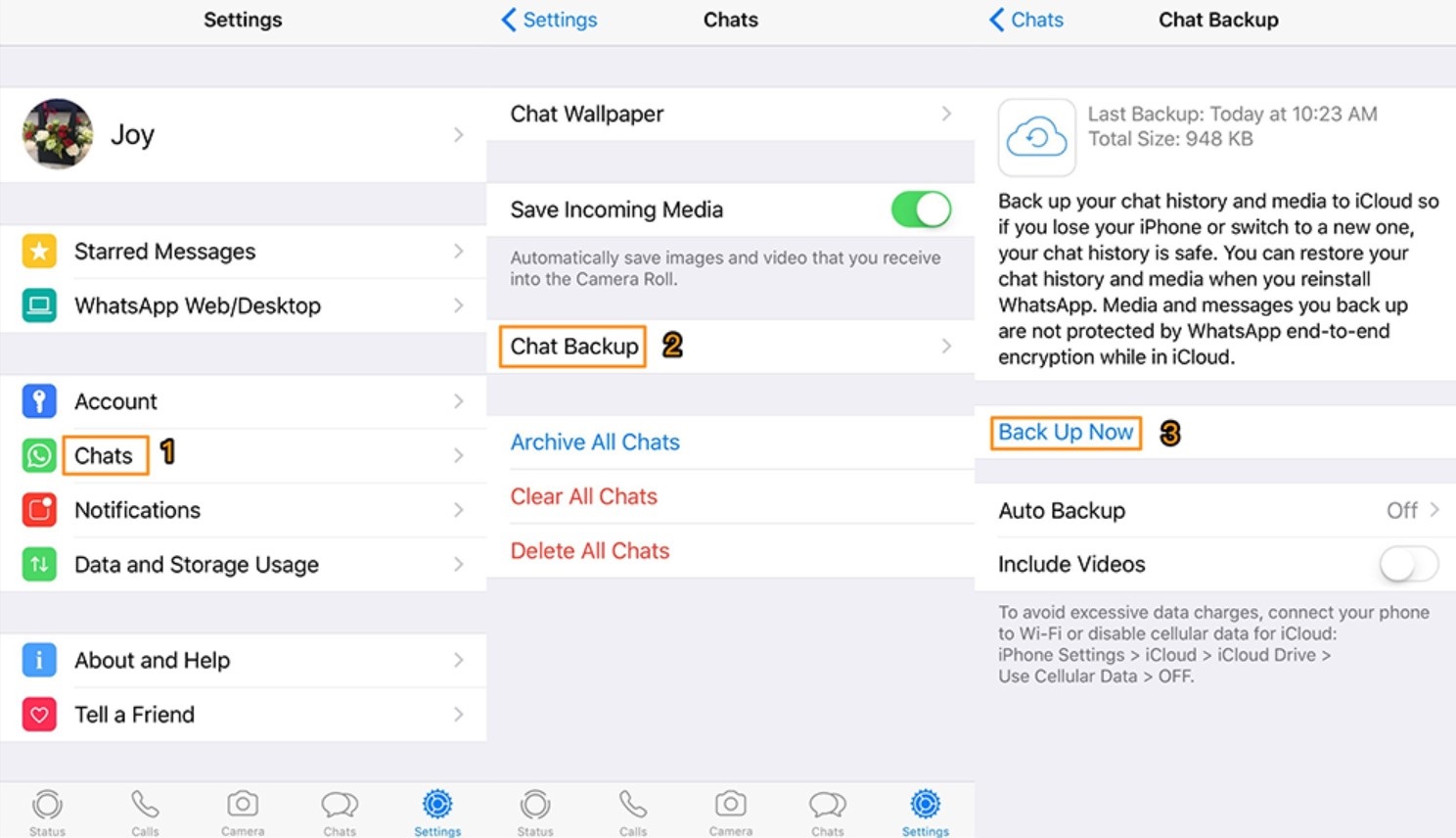 download whatsapp data from icloud to pc