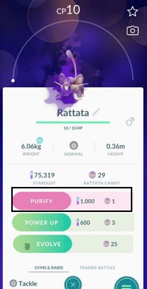 purify shadow pokemon