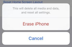 iphone 5s blue screen of death fix