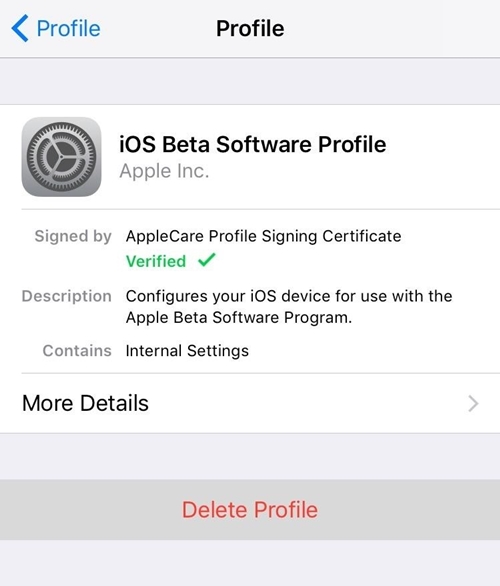 ios 11 beta download stuck