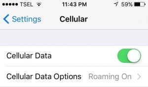 check cellular data