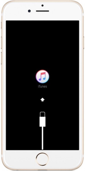 iPhone mit iTunes verbinden