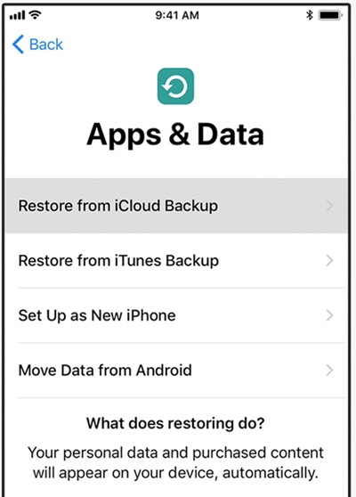 transfer messages from old iPhone to iPhone XS (Max) using itunes backup