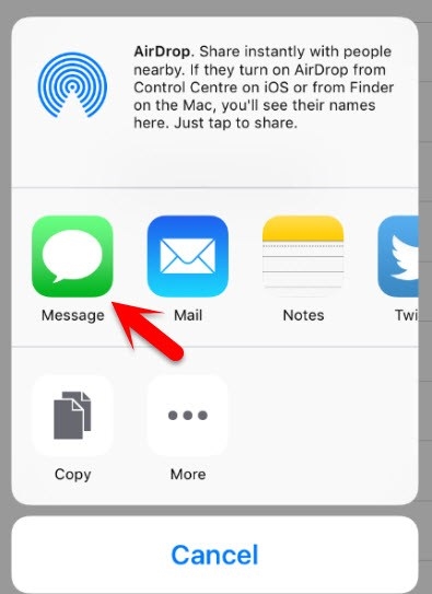 Sbloccare Passcode su iPhone-Scegliere l'opzione messaggio