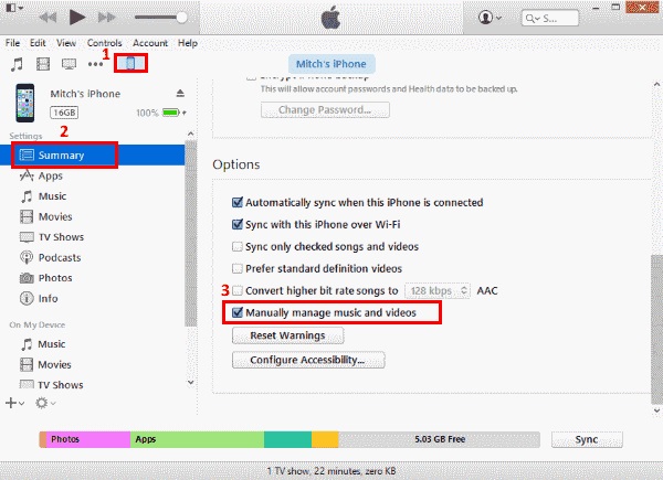 abilitare la gestione manuale di musica e video su itunes