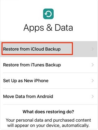 iOS-12-Datenwiederherstellung ‒ Wiederherstellung aus iCloud-Backup 

