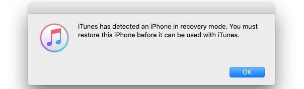 iphone bloqué en apple logo ios-12-