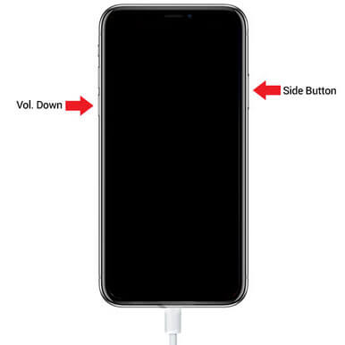 iphone atorado en logo de apple ios-12-pon iphone x en modo DFU