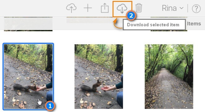 transférer des photos depuis icloud vers Android en utilisant le Mac - étape 4