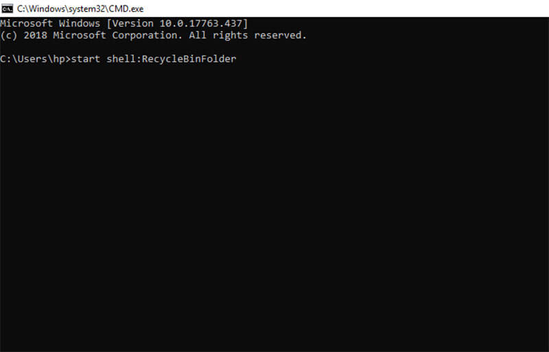 recover emptied recycle bin - opt for the files to recover