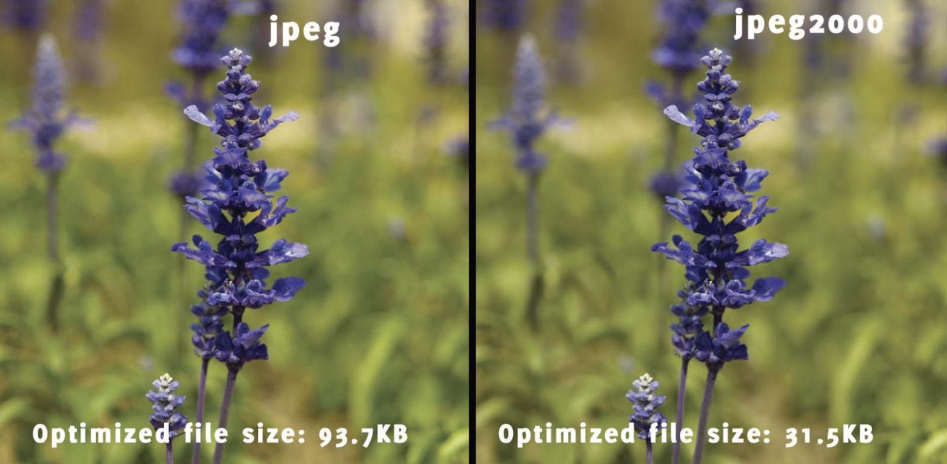 10 Common Image File Formats and Their Differences- dr.fone