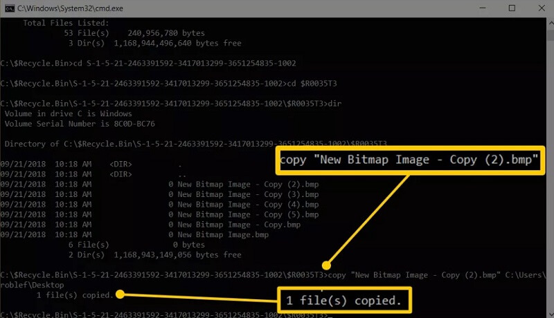 restore files from recycle bin - copy the files
