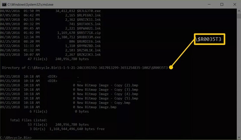 restore files from recycle bin - enter commands