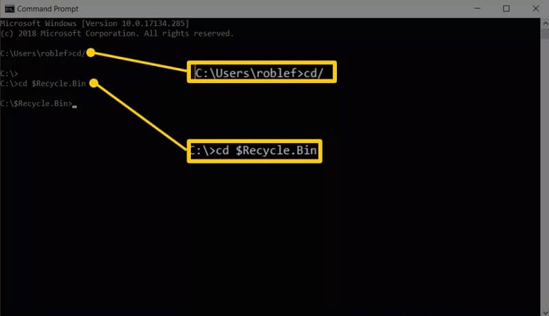 restore files from recycle bin - type string