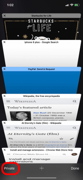 block cookies of safari - step 2
