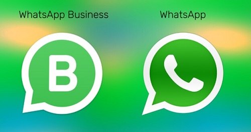 Wechsel zu WhatsApp Business