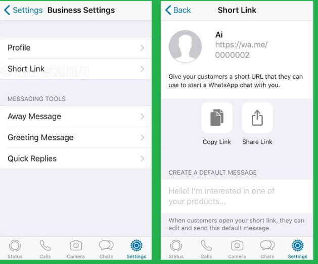 WhatsApp Business Link