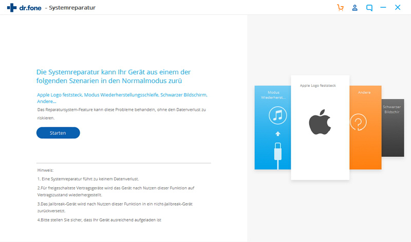iOS 12 hängt mit dem Apple-Logo – auf den „Start“-Knopf klicken.