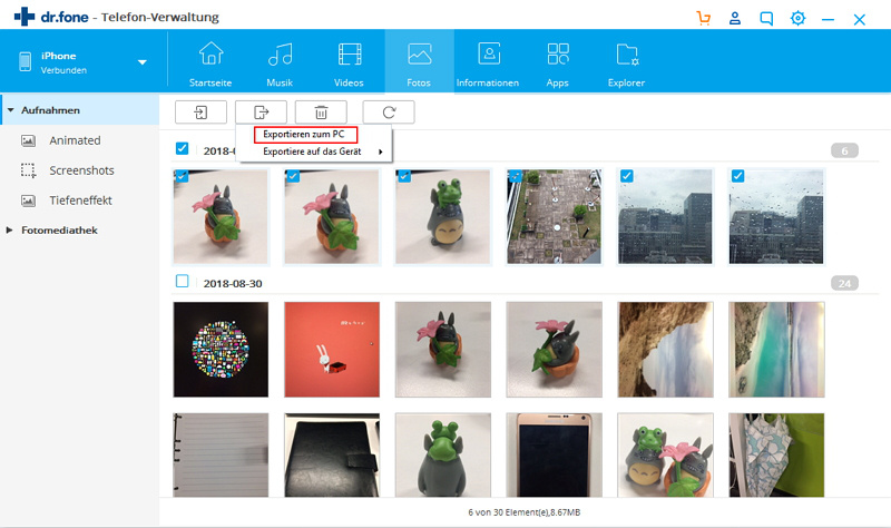 dr.fone - Fotos von der Camera Roll übertragen