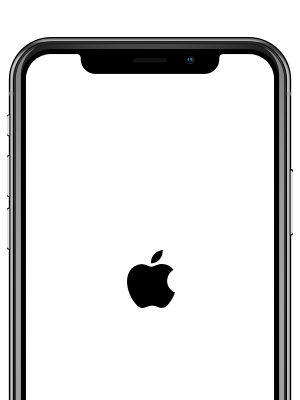 Problème de mise à jour de la version bêta de l'iOS 12/iOS 13 - redémarrage d'idevice