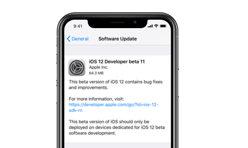Problème avec iOS 12 - la mise à jour n'apparaît pas