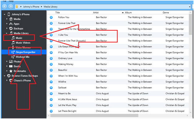 Esportare Playlist iTunes su iPhone/iPad/iPod- cliccare sulla playlist pertinente 