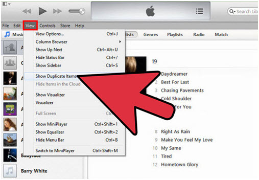 doppelte Songs vom iPod/iPhone/iPad löschen-Doppelte Objekte einblenden