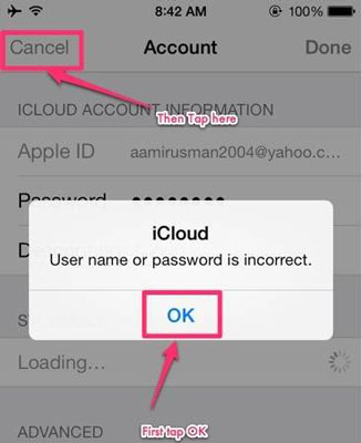 icloud passwords